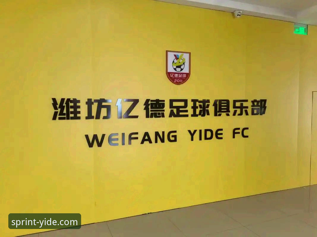 资深用户分享亿德体育赛事平台注册与赔率分析实战经验